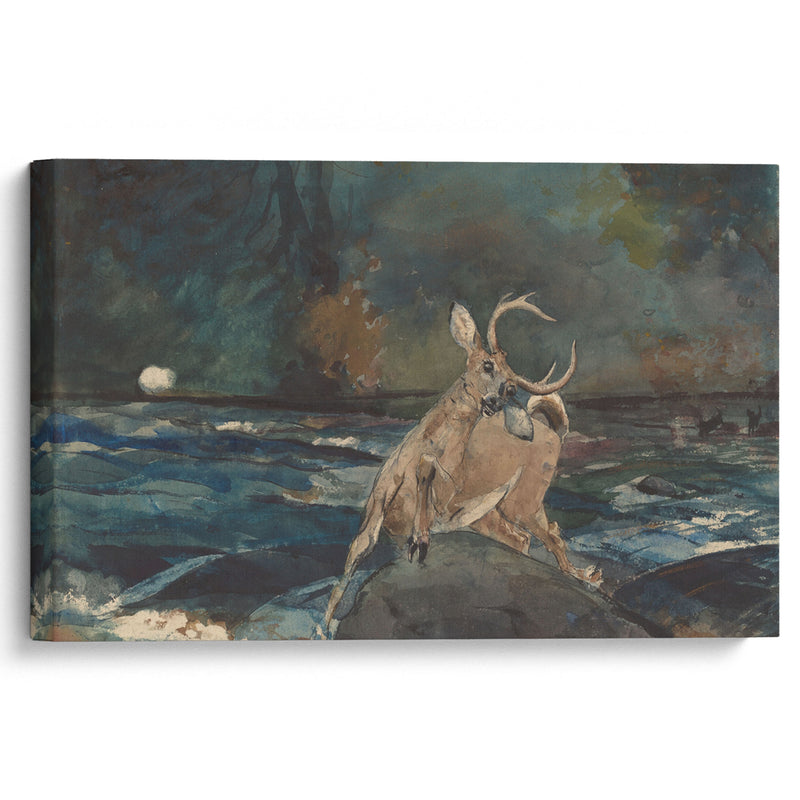 A Good Shot, Adirondacks (1892) - Winslow Homer - Canvas Print