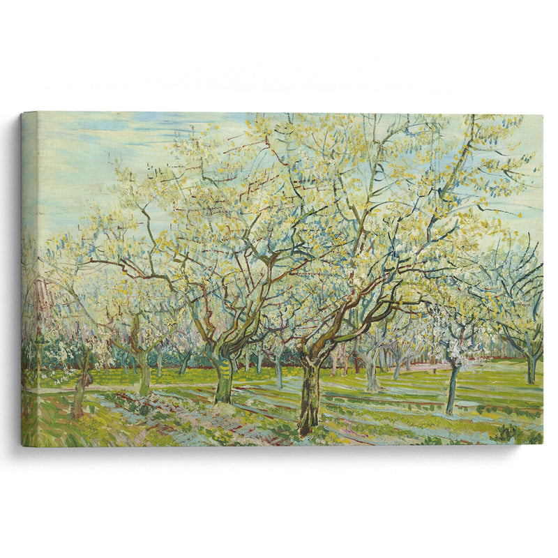 The white orchard (1888) - Vincent van Gogh - Canvas Print