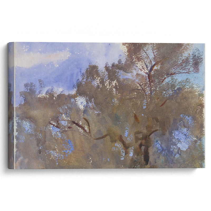 Treetops against Sky (1909–13) - John Singer Sargent - Canvas Print