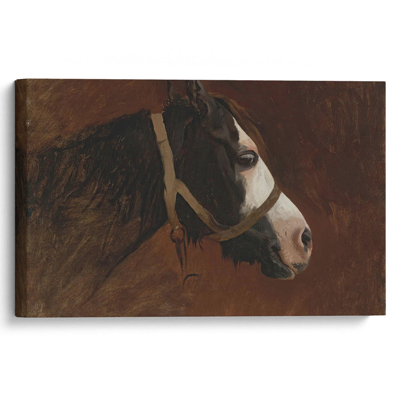 Profile Of A Horse - Jean-Léon Gérôme - Canvas Print