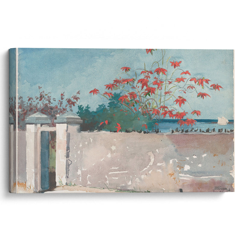 A Wall, Nassau (1898) - Winslow Homer - Canvas Print