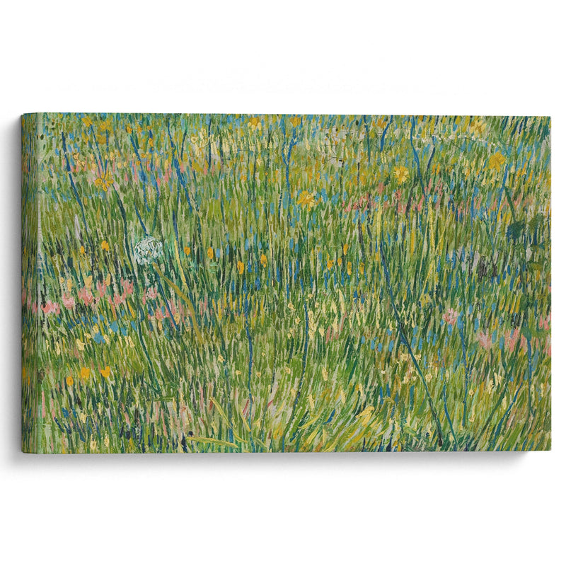 Patch of grass (1887) - Vincent van Gogh - Canvas Print - UAIO LMT