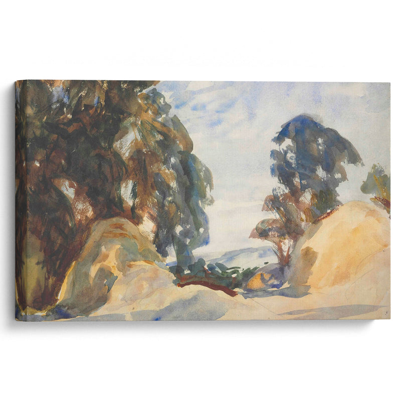 Landscape with trees (1901) - John Singer Sargent - Canvas Print