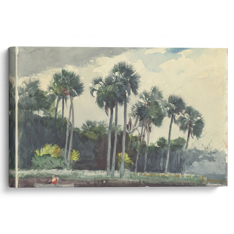 Red Shirt,Homosassa, Florida (1904) - Winslow Homer - Canvas Print