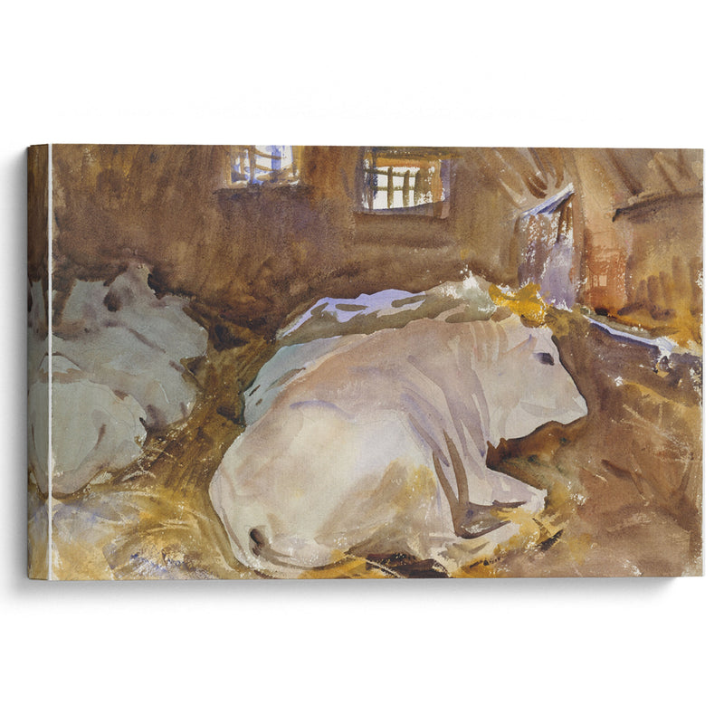 Oxen (circa 1910) - John Singer Sargent - Canvas Print