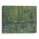 Trees and undergrowth (1887) - Vincent van Gogh - Canvas Print