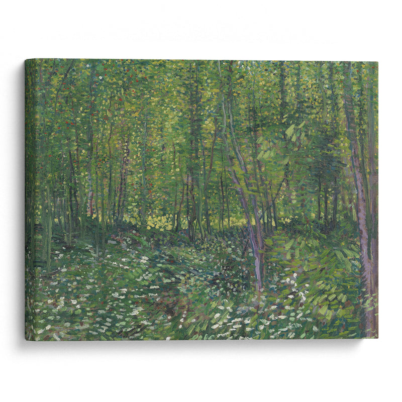 Trees and undergrowth (1887) - Vincent van Gogh - Canvas Print