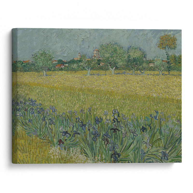 View of Arles with Irises (1888) - Vincent van Gogh - Canvas Print