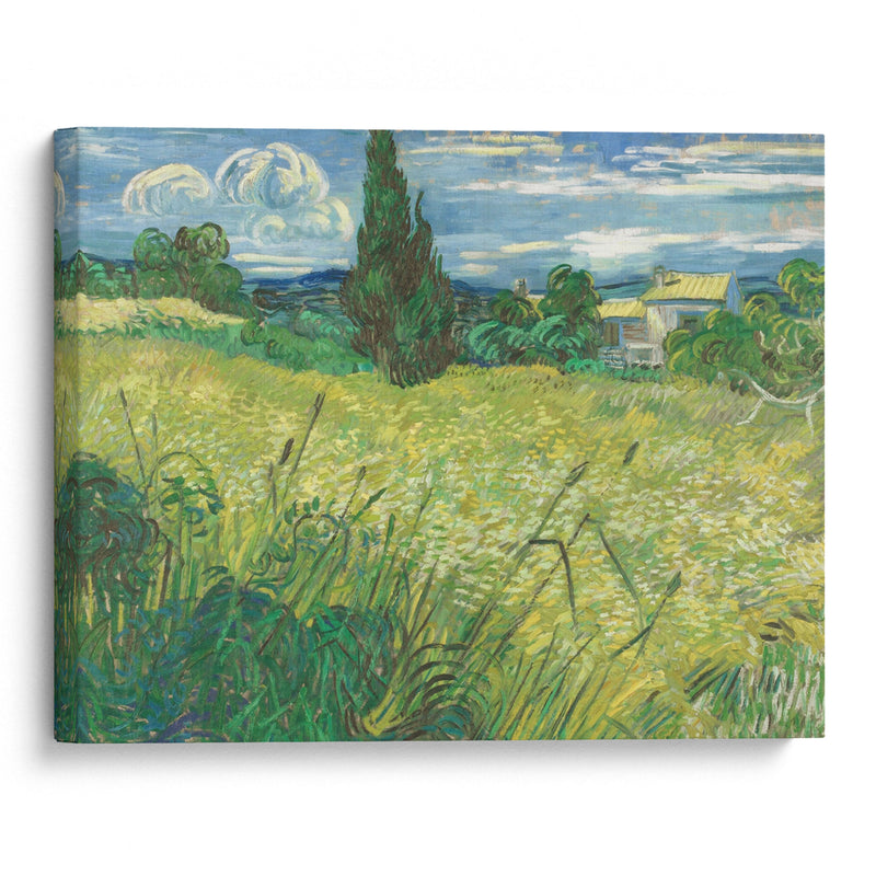 Green Field (1889) - Vincent van Gogh - Canvas Print - UAIO LMT