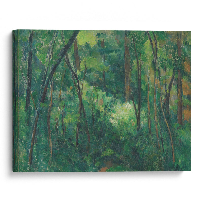 Interior of a forest (1880 - 1890) - Paul Cézanne - Canvas Print