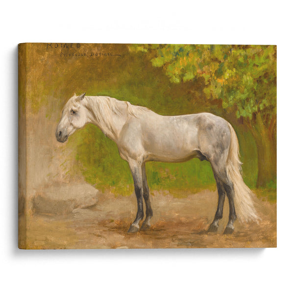 Romeo, a Stallion in a Landscape - Frederick Arthur Bridgman - Canvas Print