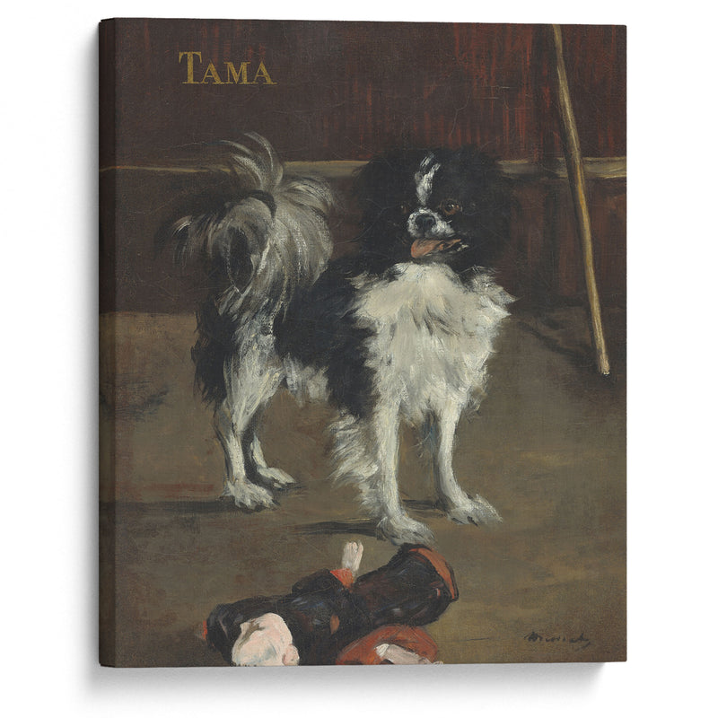 Tama,the Japanese Dog (c. 1875) - Édouard Manet - Canvas Print