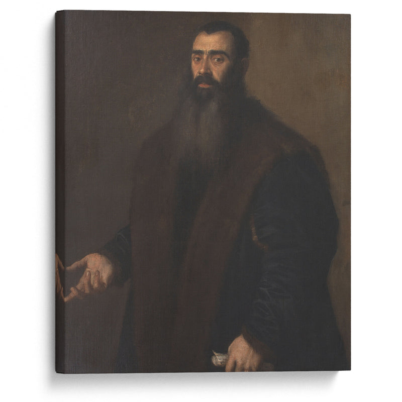 Portrait of the Nuremburg Merchant and Collector Willibald Imhoff the Elder (1519-1580) (1549 - 1570) - Titian - Canvas Print