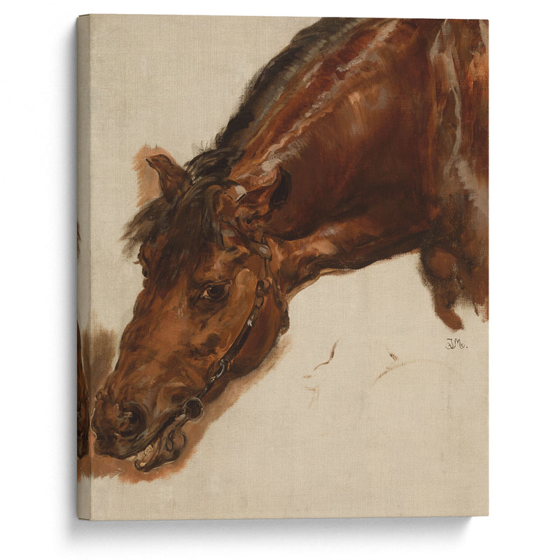 Study of a horse head (1875) - Jan Matejko - Canvas Print