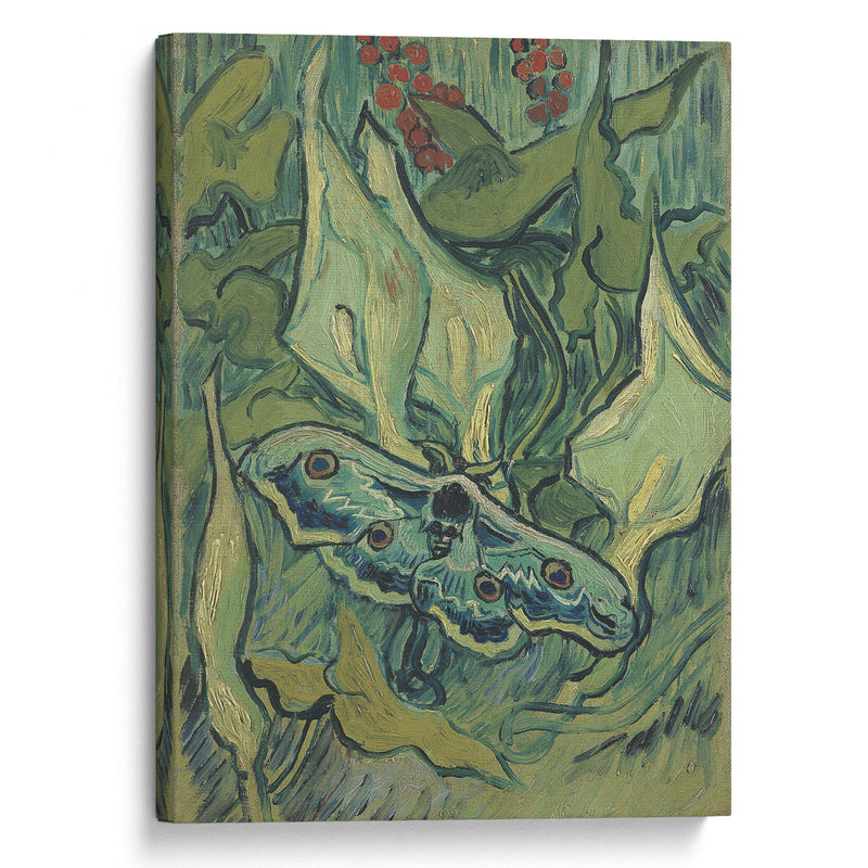 Emperor moth (1889) - Vincent van Gogh - Canvas Print