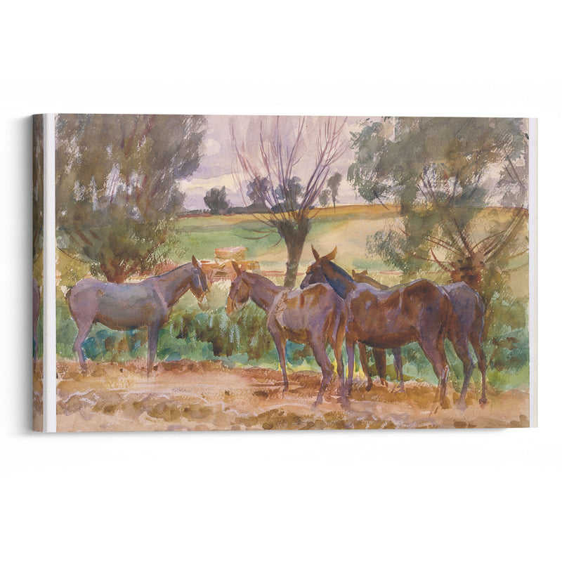 Mules (1918) - John Singer Sargent - Canvas Print