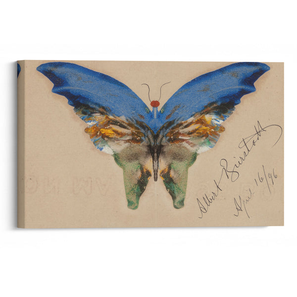 Blue Butterfly (1896) - Albert Bierstadt - Canvas Print