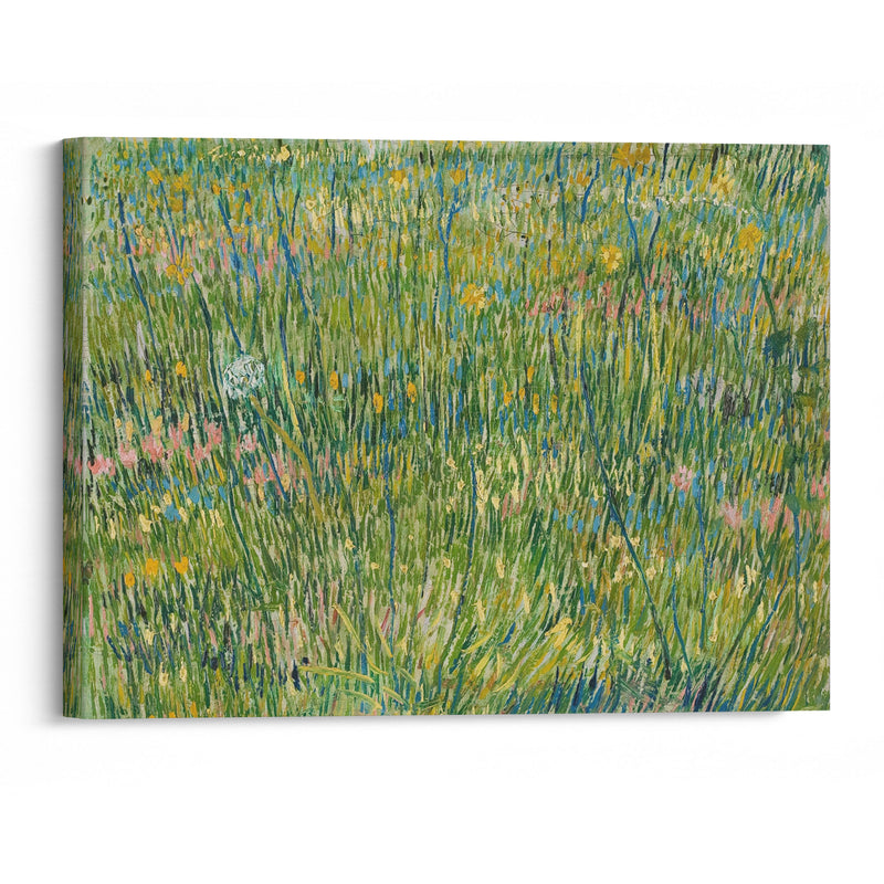 Patch of grass (1887) - Vincent van Gogh - Canvas Print - UAIO LMT