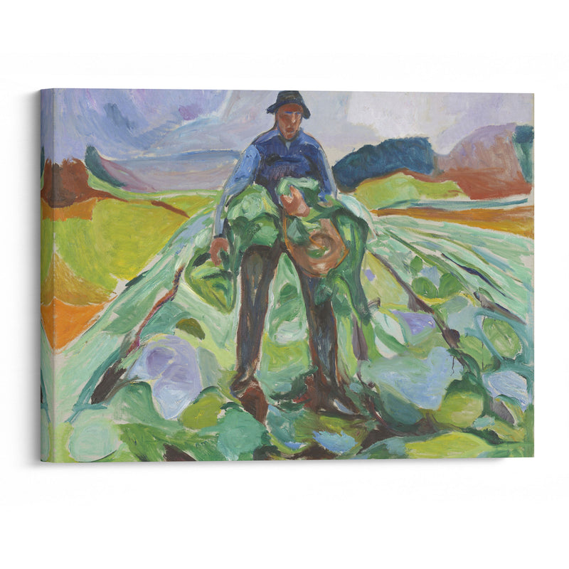 Man in the Cabbage Field (1916) - Edvard Munch - Canvas Print