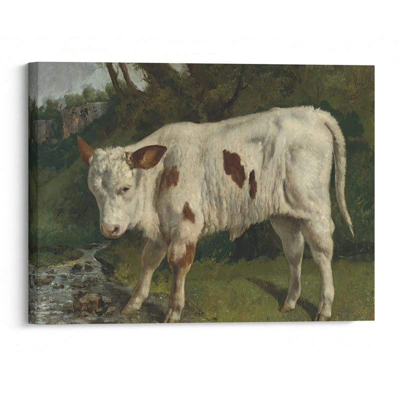 Le Veau Blanc - Gustave Courbet - Canvas Print