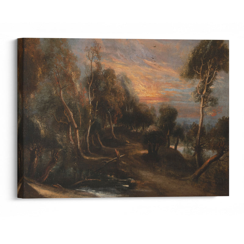 A wooded landscape at sunset - Peter Paul Rubens - Canvas Print