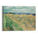 Wheatfield With Cornflowers (1890) - Vincent van Gogh - Canvas Print