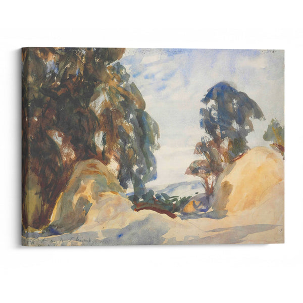 Landscape with trees (1901) - John Singer Sargent - Canvas Print