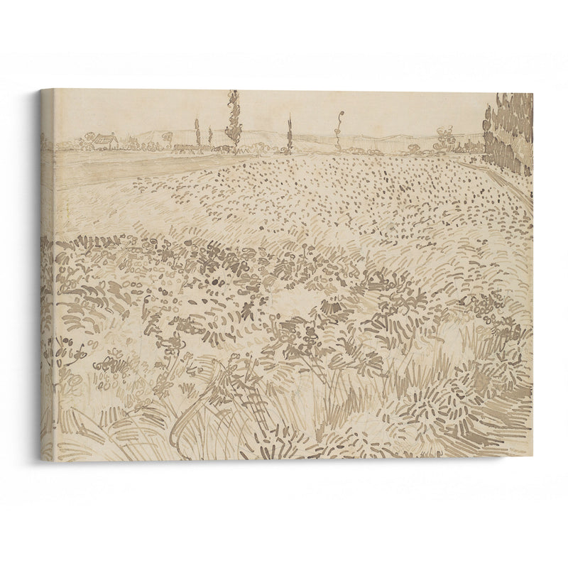 Wheat Field (1888) - Vincent van Gogh - Canvas Print