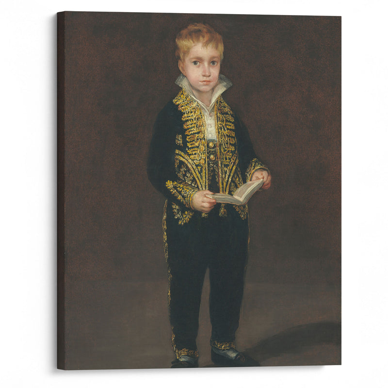 Victor Guye (1810) - Francisco de Goya - Canvas Print