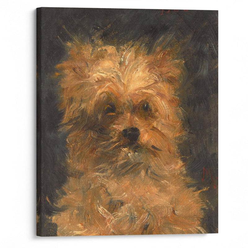 Tête du chien ‘Bob’ (circa 1876) - Édouard Manet - Canvas Print