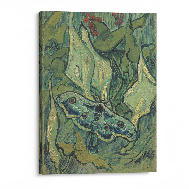 Emperor moth (1889) - Vincent van Gogh - Canvas Print