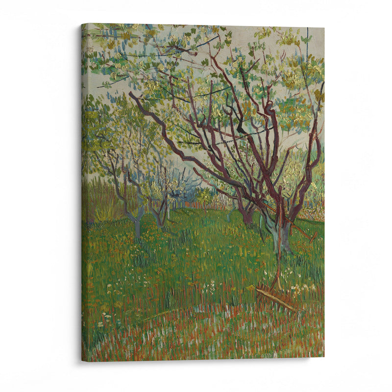 The Flowering Orchard (1888) - Vincent van Gogh - Canvas Print - UAIO LMT