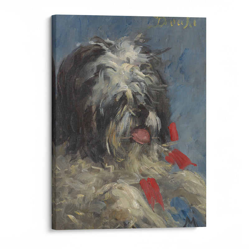 Le chien ‘Donki’ (1876) - Édouard Manet - Canvas Print