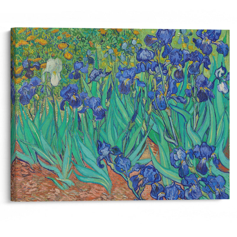 Irises (1889) - Vincent van Gogh - Canvas Print - UAIO LMT