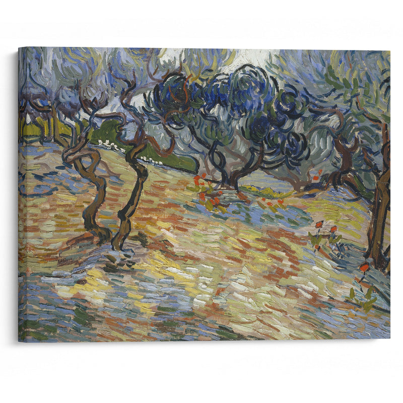 Olive Trees - Vincent van Gogh - Canvas Print - UAIO LMT