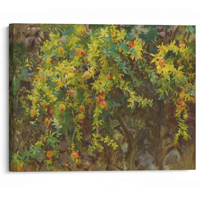 Pomegranates, Majorca - John Singer Sargent - Canvas Print