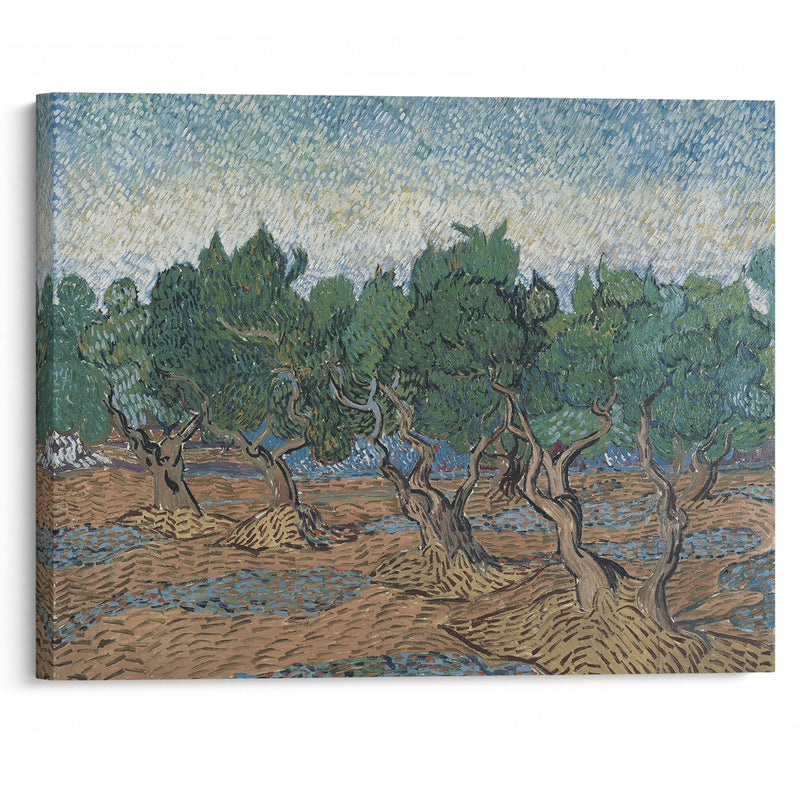 Olive grove - Vincent van Gogh - Canvas Print - UAIO LMT