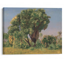 Study of Palm Trees (probably 1868) - Jean-Léon Gérôme - Canvas Print