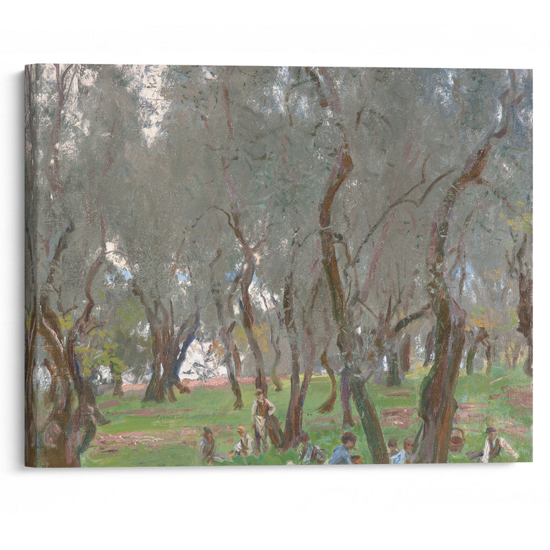 The Olive Grove (1910) - John Singer Sargent - Canvas Print