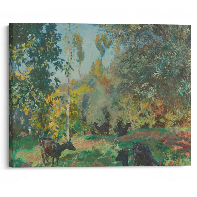 Landscape with Goats (1920) - John Singer Sargent - Canvas Print