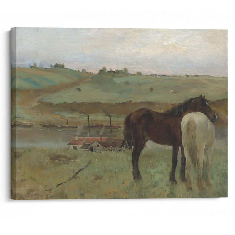 Horses in a Meadow (1871) - Edgar Degas - Canvas Print