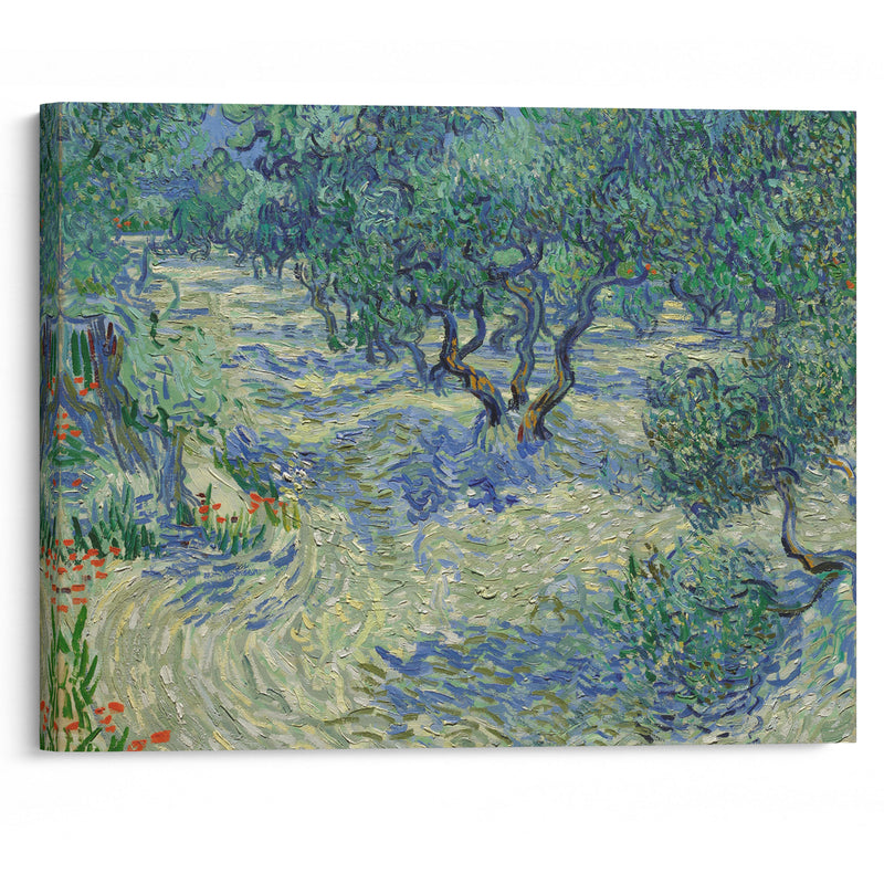 Olive Orchard - Vincent van Gogh - Canvas Print - UAIO LMT