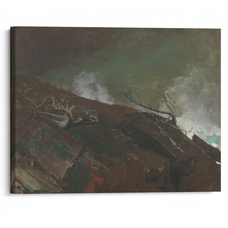 Coast of Maine (1893) - Winslow Homer - Canvas Print