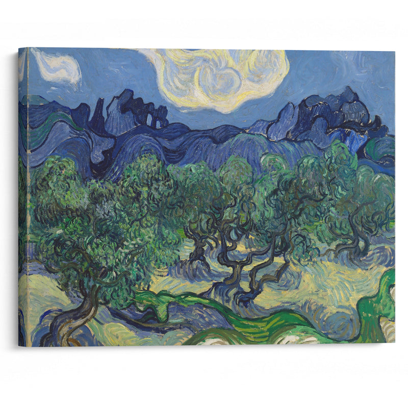 The Olive Trees (1889) - Vincent van Gogh - Canvas Print - UAIO LMT