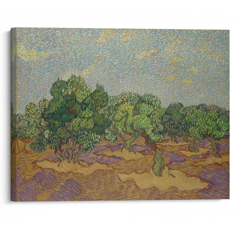 Olive Trees (1889) - Vincent van Gogh - Canvas Print - UAIO LMT