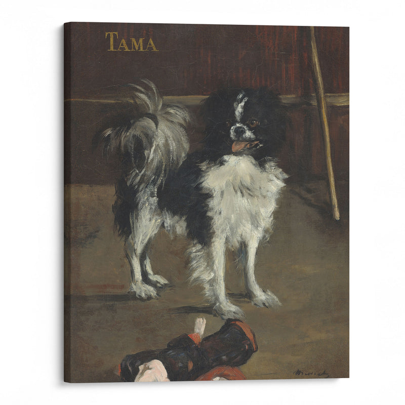 Tama,the Japanese Dog (c. 1875) - Édouard Manet - Canvas Print