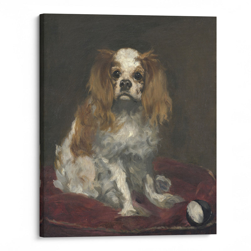 A King Charles Spaniel (c. 1866) - Édouard Manet - Canvas Print