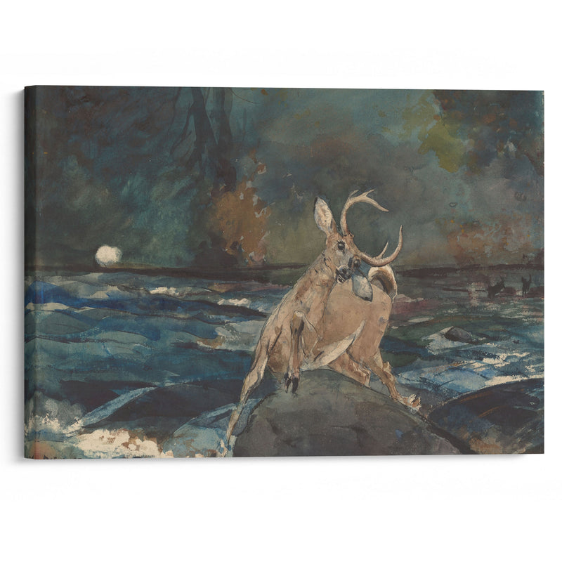 A Good Shot, Adirondacks (1892) - Winslow Homer - Canvas Print