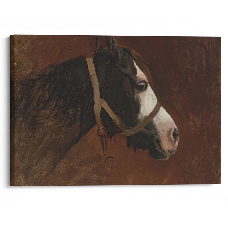 Profile Of A Horse - Jean-Léon Gérôme - Canvas Print