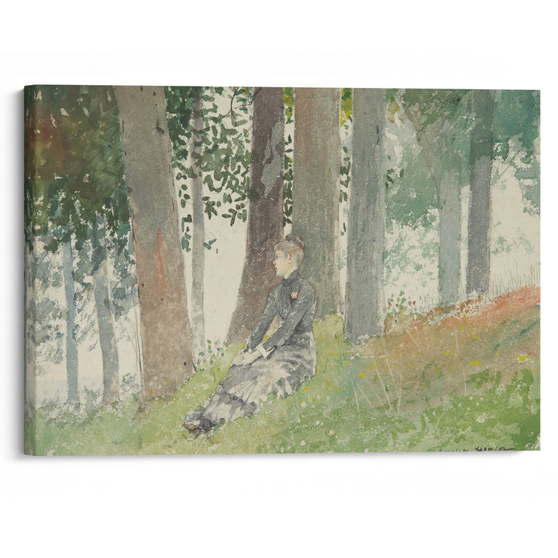 Girl Seated In A Grove (1880) - Winslow Homer - Canvas Print